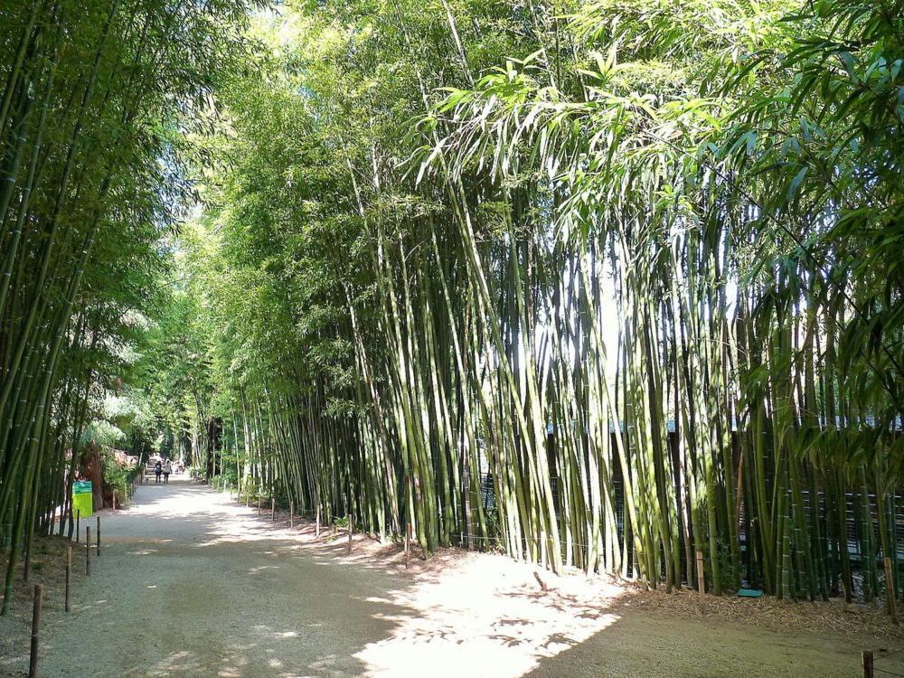 Leschenesverts Cendras ภายนอก รูปภาพ
